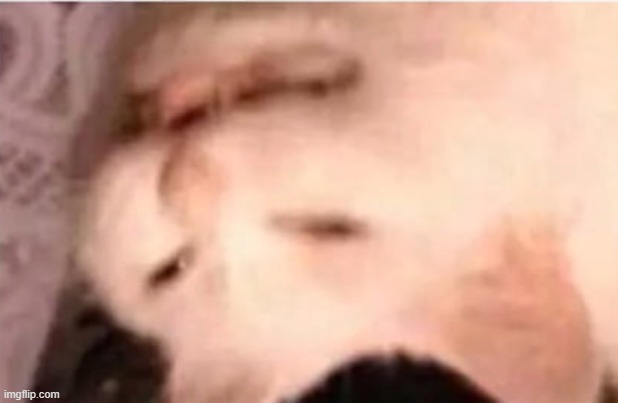 e w | image tagged in e w | made w/ Imgflip meme maker
