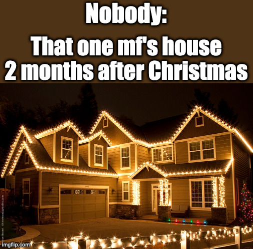 I always see this in this kind of situation | Nobody:; That one mf's house 2 months after Christmas | image tagged in christmas memes | made w/ Imgflip meme maker