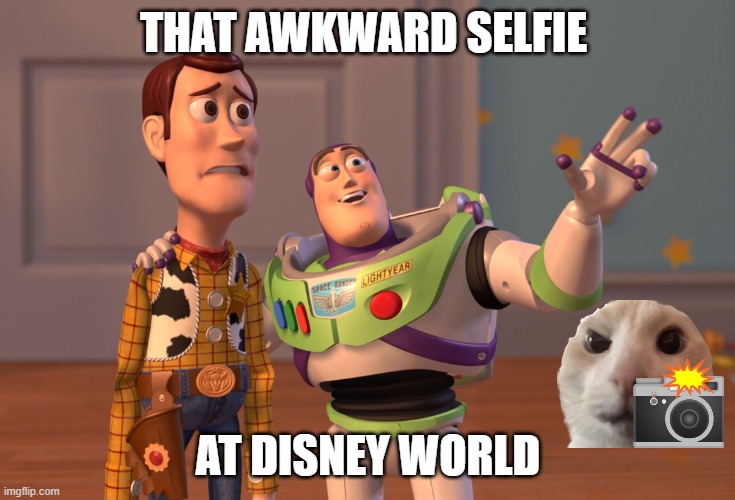 X, X Everywhere | THAT AWKWARD SELFIE; AT DISNEY WORLD | image tagged in memes,x x everywhere | made w/ Imgflip meme maker