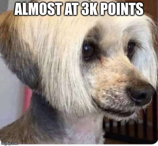 almost at 3k everyone | ALMOST AT 3K POINTS | image tagged in karen | made w/ Imgflip meme maker