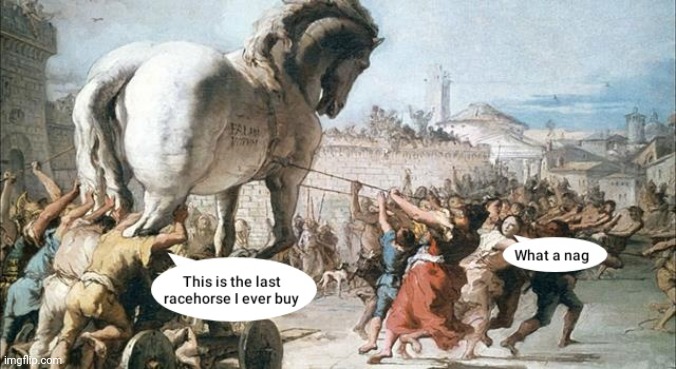 Meanwhile in Troy | image tagged in history,mythology,troy,trojan horse,funny memes,lol | made w/ Imgflip meme maker