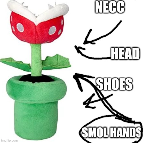 Anatomy of P L A N T | NECC; HEAD; SHOES; SMOL HANDS | made w/ Imgflip meme maker