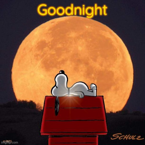 Goodnight | Goodnight | image tagged in goodnight | made w/ Imgflip meme maker