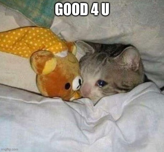 Crying cat | GOOD 4 U | image tagged in crying cat | made w/ Imgflip meme maker