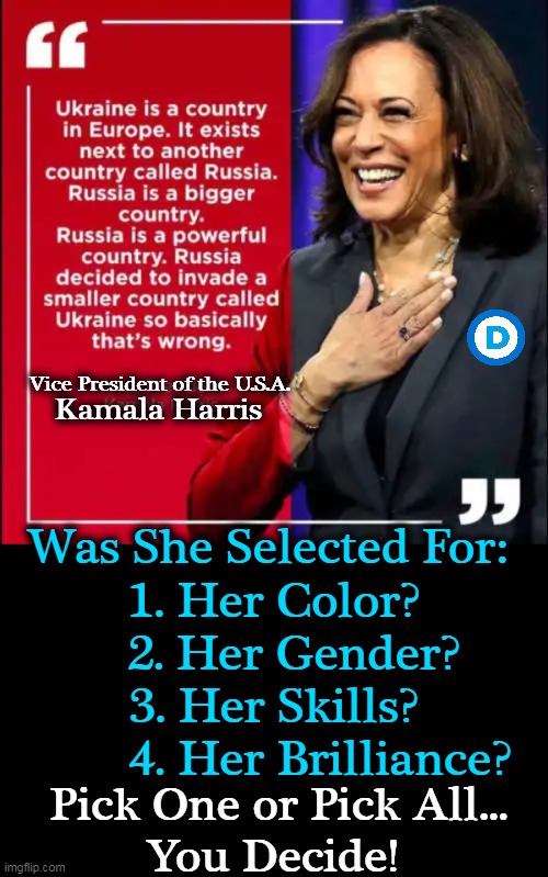On a scale of 1 to 10, what is Kamala's IQ? | Kamala Harris; Vice President of the U.S.A. Was She Selected For: 

1. Her Color?
   2. Her Gender?
3. Her Skills?
        4. Her Brilliance? Pick One or Pick All...
You Decide! | image tagged in politics,kamala harris,still looking for border,ukraine,lack of standards,color gender skills iq | made w/ Imgflip meme maker