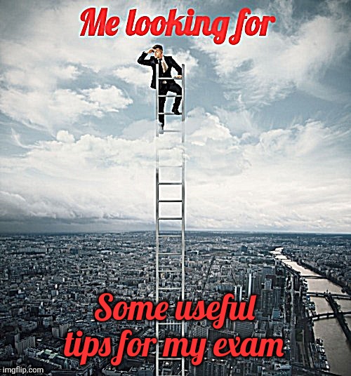 Searching | Some useful tips for my exam | image tagged in searching | made w/ Imgflip meme maker