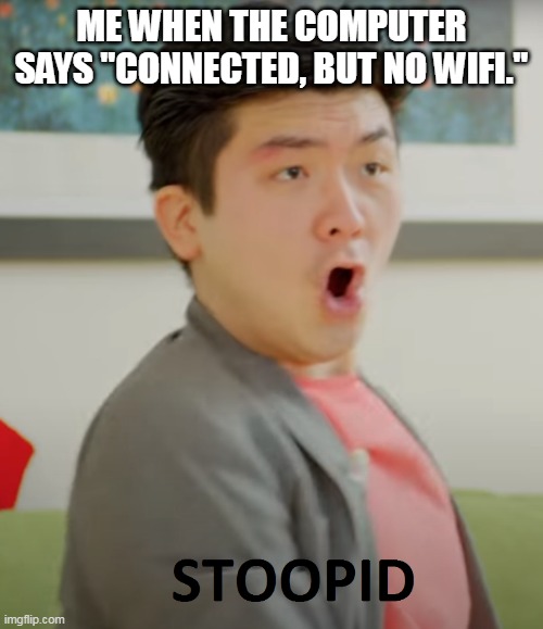 i hate this so much |  ME WHEN THE COMPUTER SAYS "CONNECTED, BUT NO WIFI." | image tagged in steven he,steven,meme,stoopid,stupid,wifi | made w/ Imgflip meme maker