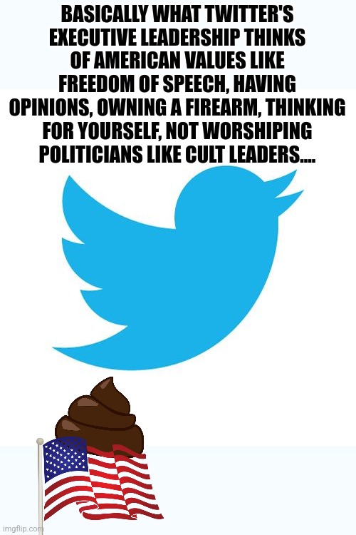 Twitter has gone off the rails... | BASICALLY WHAT TWITTER'S EXECUTIVE LEADERSHIP THINKS OF AMERICAN VALUES LIKE FREEDOM OF SPEECH, HAVING OPINIONS, OWNING A FIREARM, THINKING FOR YOURSELF, NOT WORSHIPING POLITICIANS LIKE CULT LEADERS.... | image tagged in twitter birds says,democrats,liberal logic,american flag,family values | made w/ Imgflip meme maker