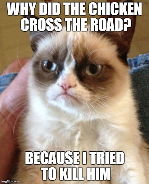 Grumpy Cat | WHY DID THE CHICKEN CROSS THE ROAD? BECAUSE I TRIED TO KILL HIM | image tagged in memes,grumpy cat | made w/ Imgflip meme maker