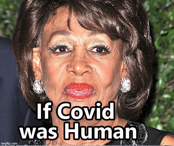 Maxine The Covid Virus | image tagged in maxine waters,covid strain,covid | made w/ Imgflip meme maker