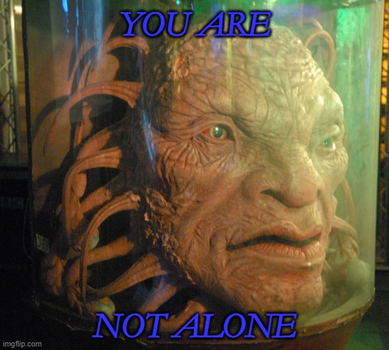 You are not alone | YOU ARE; NOT ALONE | image tagged in face of boe | made w/ Imgflip meme maker