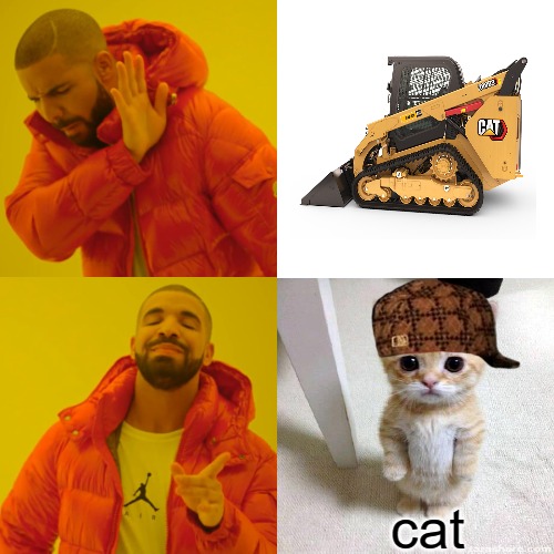 they wrong! | cat | image tagged in memes,drake hotline bling,drake,drake meme | made w/ Imgflip meme maker