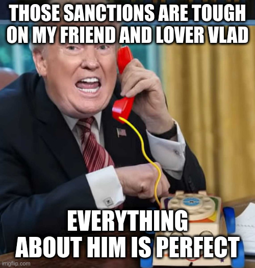 I'm the president | THOSE SANCTIONS ARE TOUGH ON MY FRIEND AND LOVER VLAD; EVERYTHING ABOUT HIM IS PERFECT | image tagged in i'm the president | made w/ Imgflip meme maker