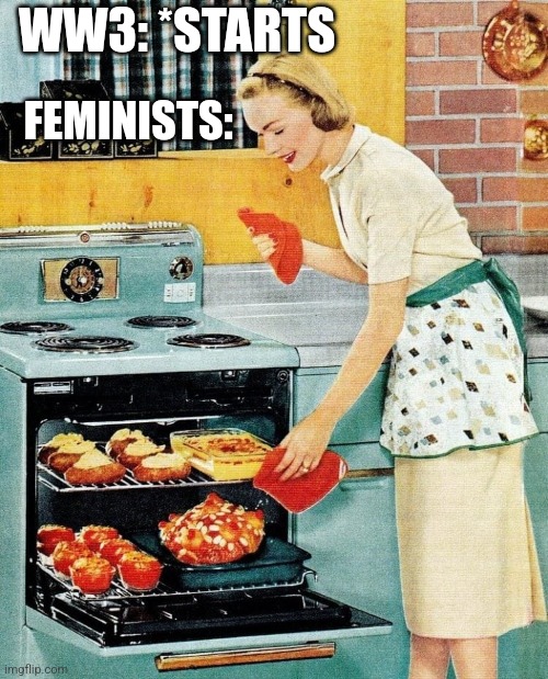 WW3: *STARTS; FEMINISTS: | image tagged in funny memes | made w/ Imgflip meme maker