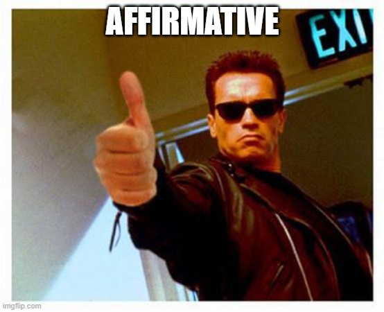 terminator thumbs up | AFFIRMATIVE | image tagged in terminator thumbs up | made w/ Imgflip meme maker