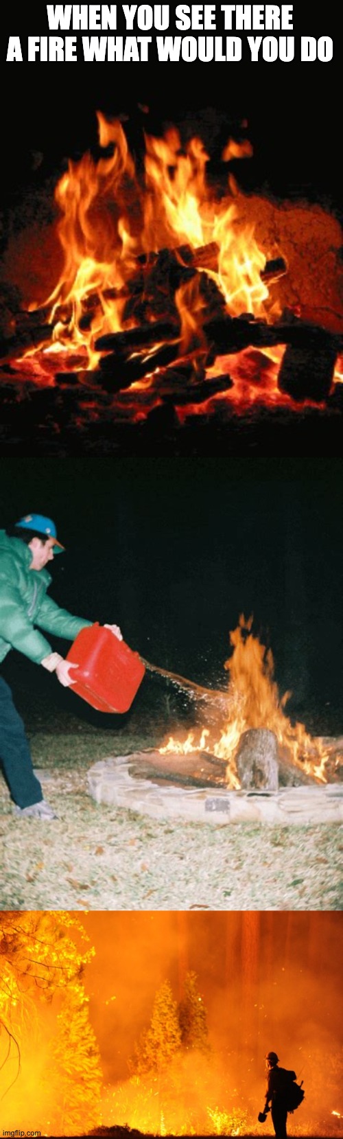 Well???? | WHEN YOU SEE THERE A FIRE WHAT WOULD YOU DO | image tagged in small fire,guy pouring gasoline into fire,wildfire | made w/ Imgflip meme maker