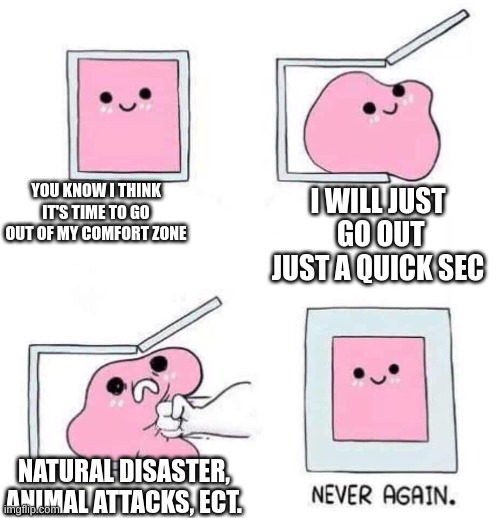 Never again | YOU KNOW I THINK IT'S TIME TO GO OUT OF MY COMFORT ZONE; I WILL JUST  GO OUT JUST A QUICK SEC; NATURAL DISASTER, ANIMAL ATTACKS, ECT. | image tagged in never again | made w/ Imgflip meme maker