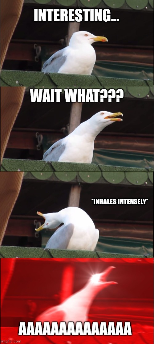 4 stages of amazed | INTERESTING... WAIT WHAT??? *INHALES INTENSELY*; AAAAAAAAAAAAAA | image tagged in memes,inhaling seagull | made w/ Imgflip meme maker