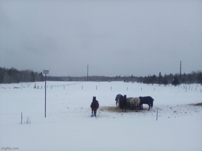 My place rn | image tagged in my house | made w/ Imgflip meme maker