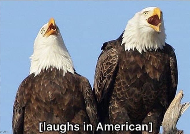 High Quality [laughs in American] Blank Meme Template