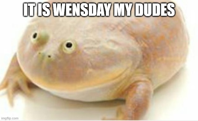 It's Wednesday my dudes | IT IS WENSDAY MY DUDES | image tagged in it's wednesday my dudes | made w/ Imgflip meme maker