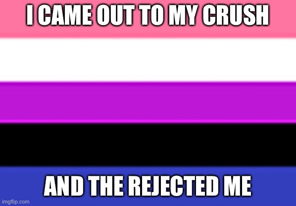 Well, what do I even know about love anyway | I CAME OUT TO MY CRUSH; AND THE REJECTED ME | image tagged in genderfluid flag | made w/ Imgflip meme maker