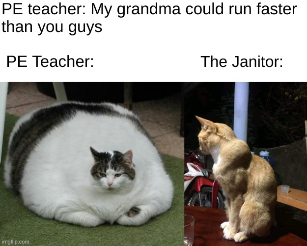 OH LAWD HE COMIN | PE teacher: My grandma could run faster
than you guys
 
 PE Teacher:; The Janitor: | image tagged in cats | made w/ Imgflip meme maker