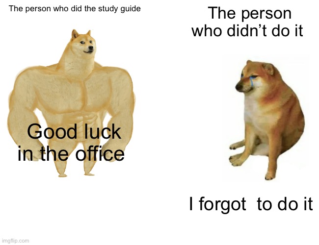 Buff Doge vs. Cheems | The person who did the study guide; The person who didn’t do it; Good luck in the office; I forgot  to do it | image tagged in memes,buff doge vs cheems | made w/ Imgflip meme maker