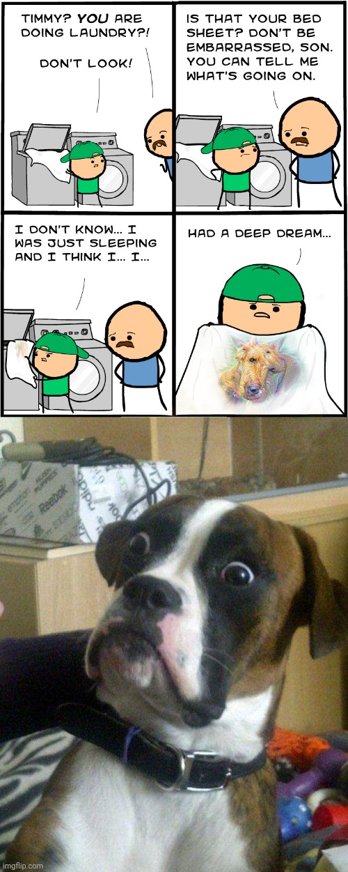 Dog | image tagged in blankie the shocked dog,laundry,cyanide and happiness,comics/cartoons,memes,dog | made w/ Imgflip meme maker