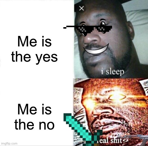 Made by my brother pt.2 | Me is the yes; Me is the no | image tagged in memes,sleeping shaq | made w/ Imgflip meme maker