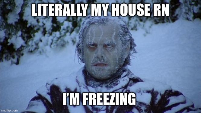 Cold | LITERALLY MY HOUSE RN; I’M FREEZING | image tagged in cold | made w/ Imgflip meme maker