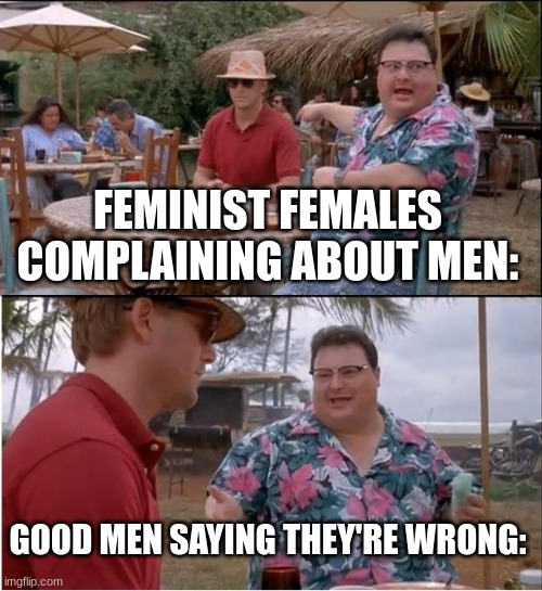 See Nobody Cares Meme | FEMINIST FEMALES COMPLAINING ABOUT MEN:; GOOD MEN SAYING THEY'RE WRONG: | image tagged in memes,see nobody cares | made w/ Imgflip meme maker