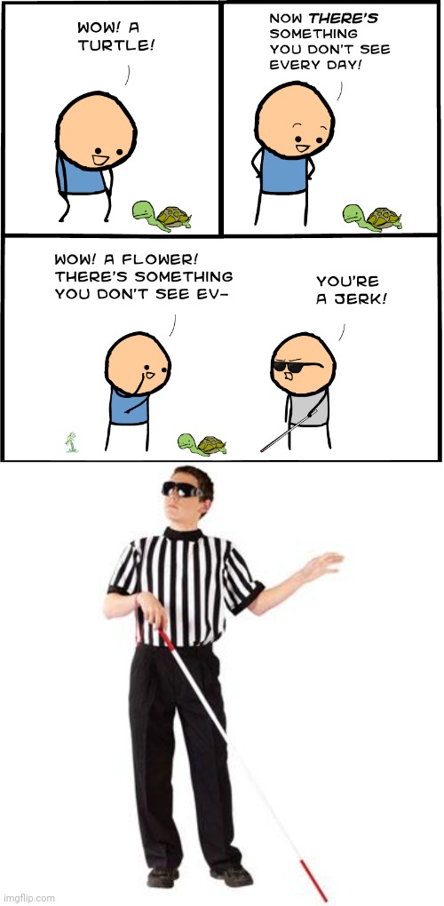 Blind | image tagged in blind ref,blind guy,cyanide and happiness,comics/cartoons,memes,turtle | made w/ Imgflip meme maker
