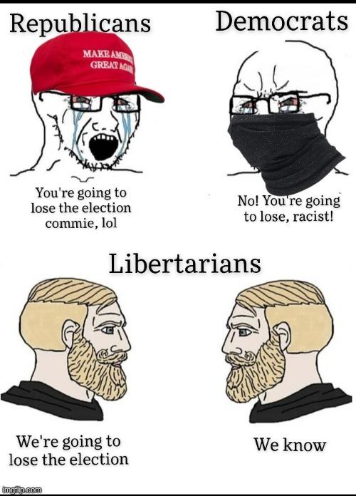 What libertarians really think what's going to happen in the election 2020 | image tagged in election 2020,libertarian,party | made w/ Imgflip meme maker