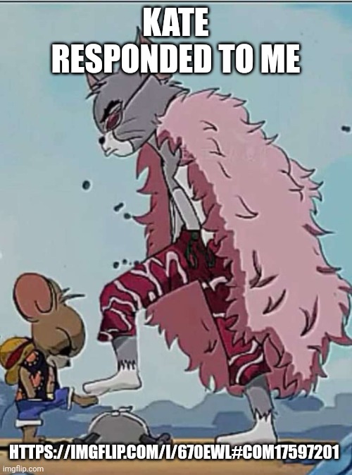 About the owner limit image I posted | KATE RESPONDED TO ME; HTTPS://IMGFLIP.COM/I/670EWL#COM17597201 | image tagged in luffy and doflamingo | made w/ Imgflip meme maker