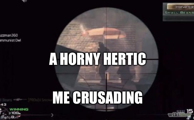 Call Of Duty | A HORNY HERETIC; ME CRUSADING | image tagged in call of duty,sniper,rifle,kill | made w/ Imgflip meme maker