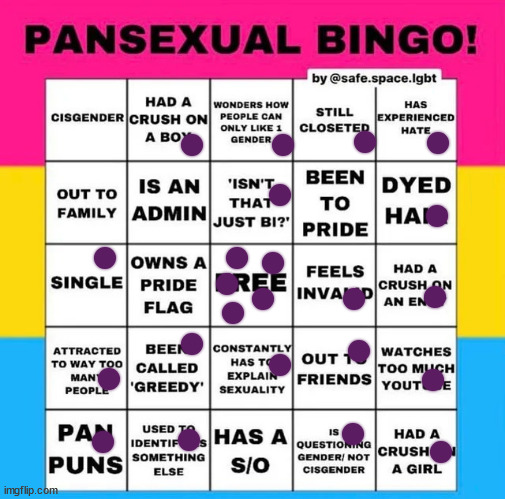 I guess-? | image tagged in pansexual bingo | made w/ Imgflip meme maker