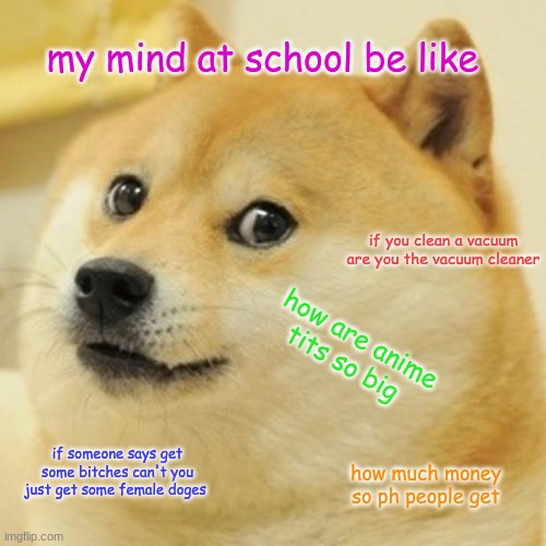 Doge Meme | my mind at school be like; if you clean a vacuum are you the vacuum cleaner; how are anime tits so big; if someone says get some bitches can't you just get some female doges; how much money so ph people get | image tagged in memes,doge | made w/ Imgflip meme maker