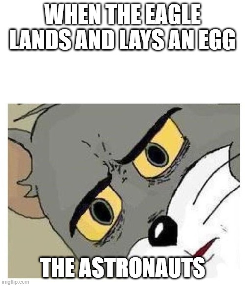 Eagle Has Landed | WHEN THE EAGLE LANDS AND LAYS AN EGG; THE ASTRONAUTS | image tagged in unsettled tom,space,moon landing,plot twist,eggs,lunar module | made w/ Imgflip meme maker