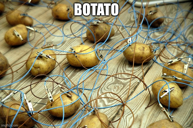 potato servers | BOTATO | image tagged in potato servers | made w/ Imgflip meme maker