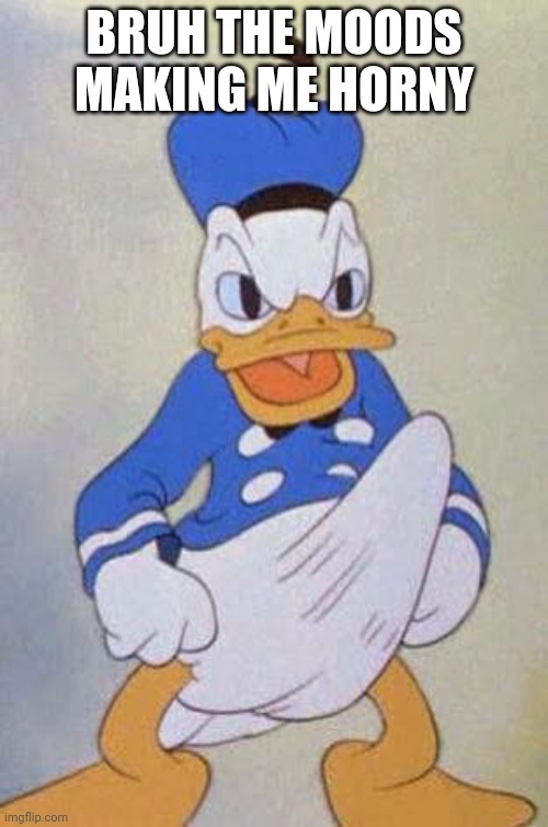 Help | BRUH THE MOODS MAKING ME HORNY | image tagged in horny donald duck | made w/ Imgflip meme maker