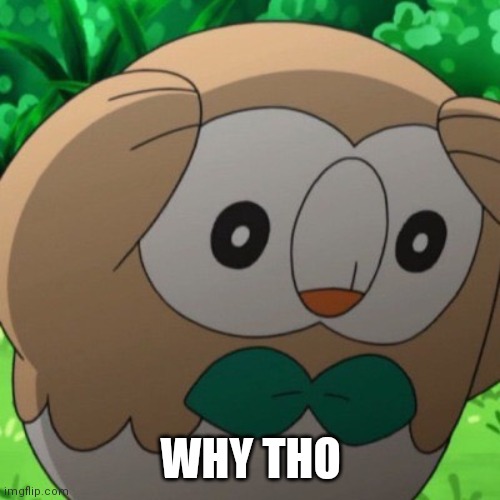 Rowlet Meme Template | WHY THO | image tagged in rowlet meme template | made w/ Imgflip meme maker