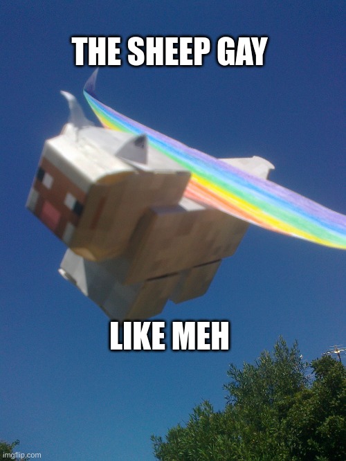 slap the yeezy shep | THE SHEEP GAY; LIKE MEH | image tagged in slap the yeezy shep | made w/ Imgflip meme maker