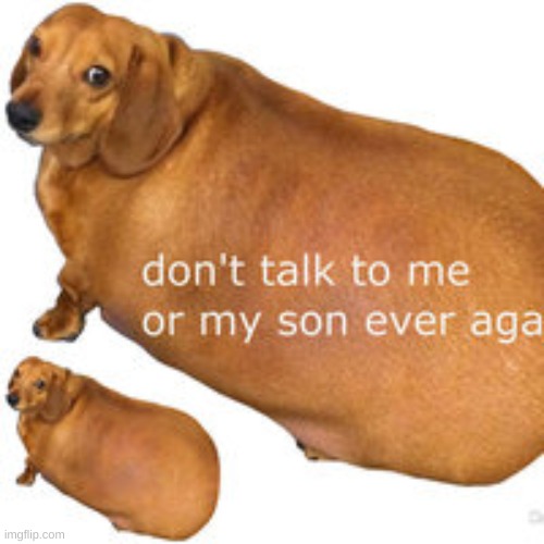 Dont talk to me or my son ever again | image tagged in dont talk to me or my son ever again | made w/ Imgflip meme maker