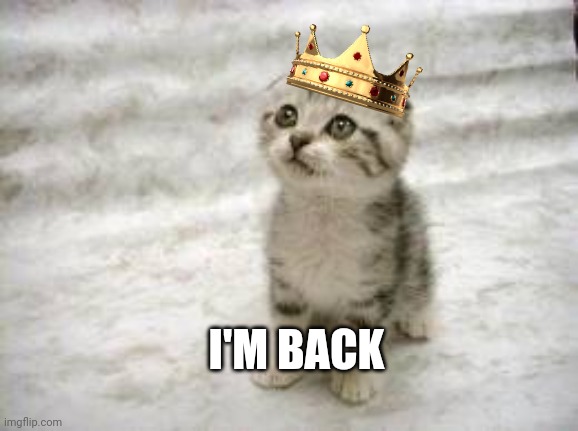 Sad Cat | I'M BACK | image tagged in memes,sad cat | made w/ Imgflip meme maker