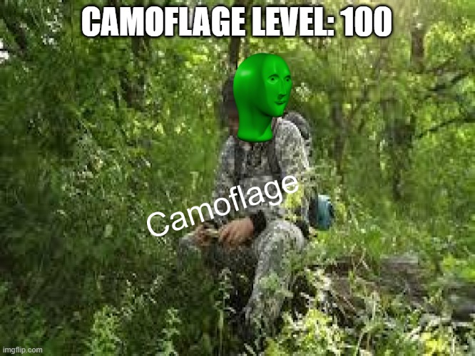 Camoflage | CAMOFLAGE LEVEL: 100 | image tagged in camoflage | made w/ Imgflip meme maker