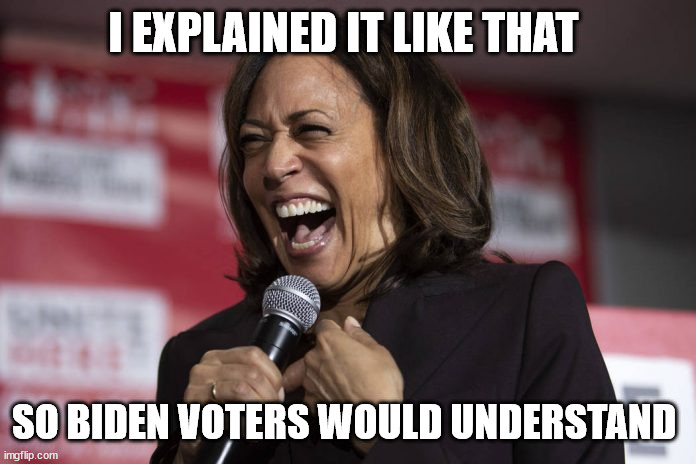 Kamala laughing | I EXPLAINED IT LIKE THAT SO BIDEN VOTERS WOULD UNDERSTAND | image tagged in kamala laughing | made w/ Imgflip meme maker