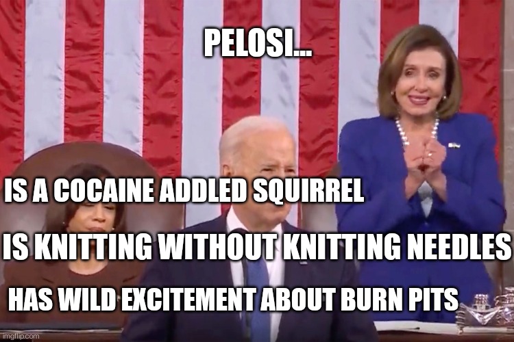 Pelosi's strange gesture... | PELOSI... IS A COCAINE ADDLED SQUIRREL; IS KNITTING WITHOUT KNITTING NEEDLES; HAS WILD EXCITEMENT ABOUT BURN PITS | image tagged in state of the union | made w/ Imgflip meme maker