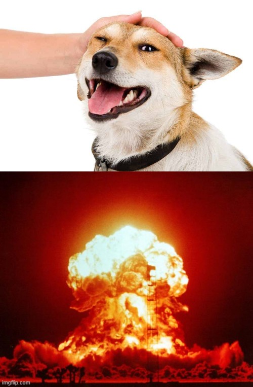 image tagged in petting a dog,nuke | made w/ Imgflip meme maker