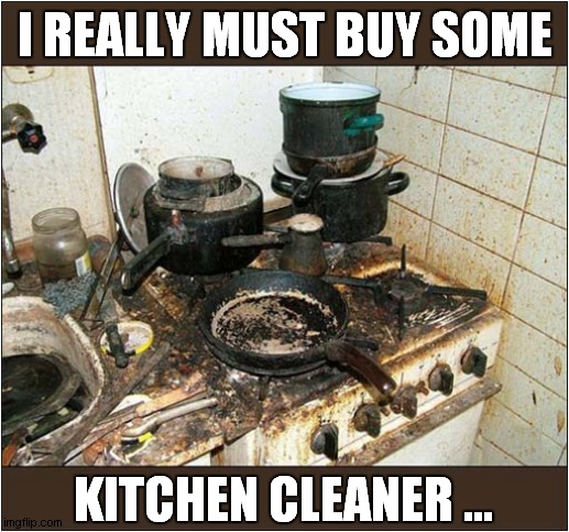 But Am I Joking ? | I REALLY MUST BUY SOME; KITCHEN CLEANER ... | image tagged in kitchen,dirty,still alive | made w/ Imgflip meme maker